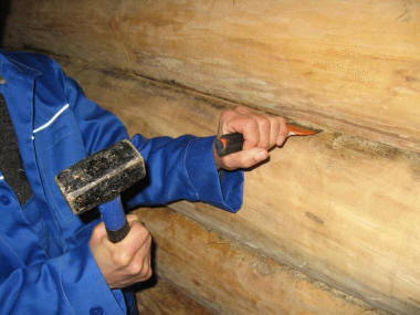 Конопатим сруб.