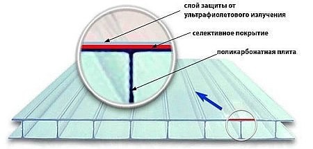 Крыша из поликарбоната.