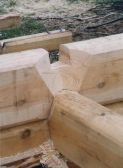 Паз в норвежской рубке.