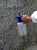 Борьба с плесенью в доме.