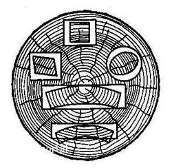 Деформация торца заготовки древесины.
