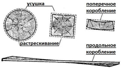 Усушка, растрескивание, поперечное и продольное коробление.