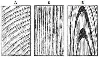 Текстура древесины сосны в разрезах.